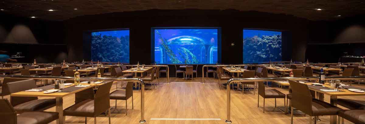 Néstor Restaurant, Poema del Mar Aquarium | Gran Canaria