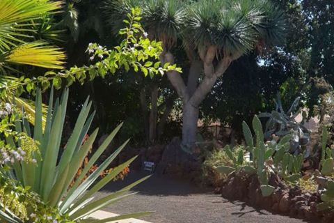 Aloe Park Teneriffa